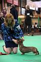 Crufts2011_2 1401